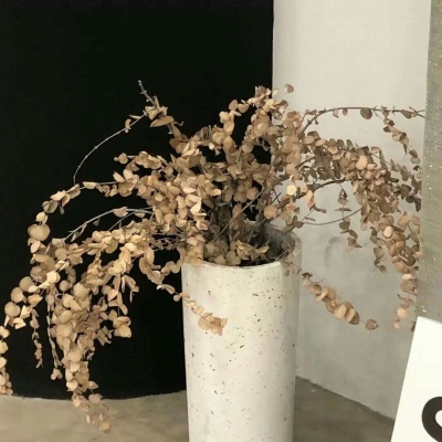 荷塘福瑞交流群
